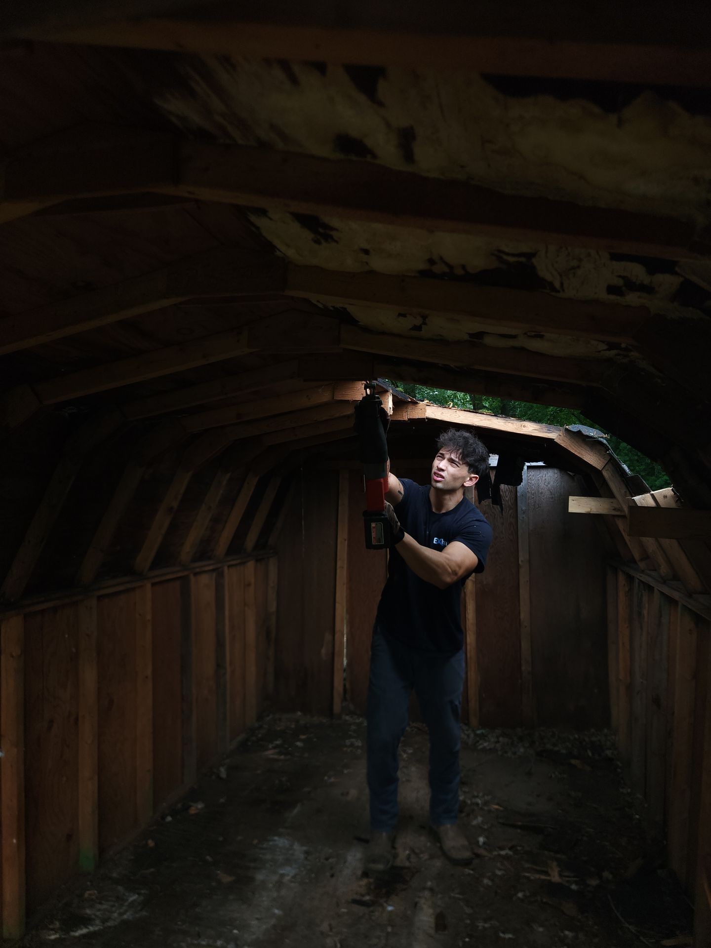 Shed Demolition